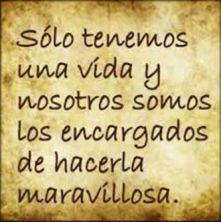 Haga click para ver la imagen ampliada solo tenemos una vida y nosotros somos los encargados.jpg